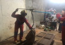 Hasan Sempat Panik Lihat Ular Kobra di Gudang Mebel, Tim Damkar Berhasil Evakuasi