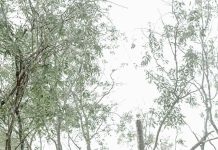 Bingung, Mau Healing Kemana di Kotawaringin Timur, Simak 3 Rekomendasi Tempat Wisata Cocok Buat Semua Kalangan Usia