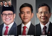 Pandangan Pakar Politik Terhadap Gibran Dalam Debat Cawapres Ke 4