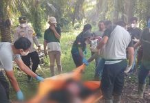 Kelelahan Saat Melarikan Diri, Diduga Pencuri Sawit Tewas di Rawa PT Astra GSYM