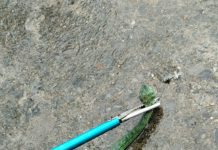 Tegang! Petugas Damkar Evakuasi Ular Viper Hijau di Meubel Ular Viper Hijau