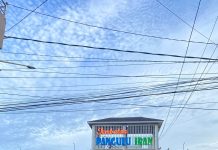 6 Kecamatan di Barito Utara Terendam Banjir