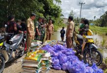 Banjir di Desa Sei Rahayu 1, BPBD dan Kodim 1013/Muara Teweh Salurkan Bantuan Sosial