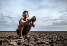 Kesejahteraan Pangan Melalui Program Food Estate
