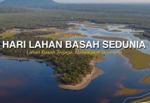 Hari ini Tanggal 2 Februari, Peringatan Hari Lahan Basah Sedunia