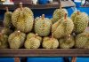 Tidak Hanya Lezat Durian Juga Memiliki Manfaat Untuk Kesehatan
