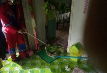 Petugas Damkar Evakuasi Ular King Kobra Berukuran 3 Meter di Kamar Tidur Warga