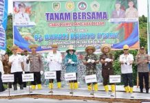 Ditarget Produksi Belasan Ton, Pemkab Barut Tanam Cabai Bersama Kelompok Tani Rindu Alam di Bayas