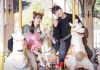 Fakta Mengejutkan Drama Serendipity’s Embrace, Ternyata Diangkat Dari Kisah Nyata Serendipity's Embrace