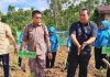 Belajar Lahan Padi dan Coklat, Pemkab Mura Studi Banding ke Jember Jatim