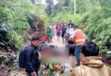 Tragis! Pulang Beli Air Galon, Pria Baya Warga Nihan Hulu Barut Tewas Tertimpa Kayu Lapuk