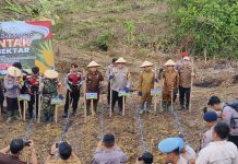 Wujudkan Ketahanan Pangan Mura, Pj Bupati Hermon Ikuti Penanaman Jagung Serentak 1 Juta Hektare
