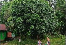 Diduga Idap Asma, Warga Muara Untu Mura Ditemukan Tewas Tenggelam di Sungai Kalahuang