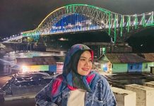 Legislator Barut Wardatun Nur Jamilah Harap Instansi Terkait dan Masyarakat Perhatikan Kebersihan WFC Muara Teweh