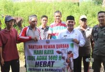 Wabup Rahmanto Muhidin Serahkan Hewan Kurban kepada Masyarakat Mura