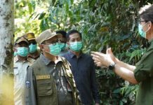 Pj Bupati Barito Utara Dukung Konservasi Alam saat Kunjungi Yayasan Kalaweit