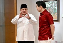Presiden Prabowo Disambut Meriah Penonton di Parade Hari Nasional Singapura