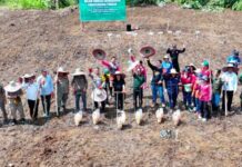 Bupati Murung Raya Hadiri Penanaman Jagung Hibrida untuk Dukung Swasembada Pangan