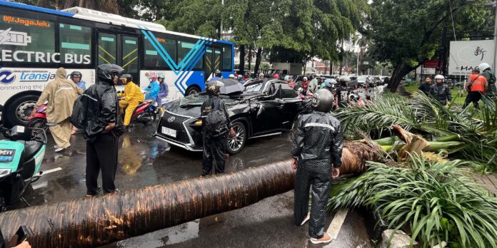 newsCover_2025_10_26_1761470320153-32jzo