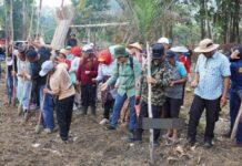 Tanam Jagung Selesai, Bupati Heriyus Ajak Forkopimda Lanjut Tanam Padi