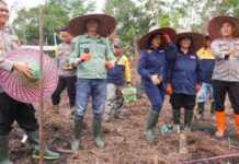 Pemkab Murung Raya Bersama TNI-Polri Gelar Penanaman Jagung Serentak Dukung Program Pangan Nasional