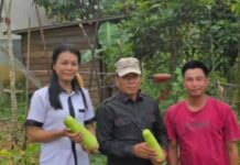 DPRD Mura Dorong Penguatan Pangan Lokal untuk Kurangi Ketergantungan Pasokan Luar