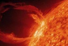 Mekanisme Dinamo Matahari: Proses Konversi dan Daur Ulang Energi dalam Fenomena Solar Flare.