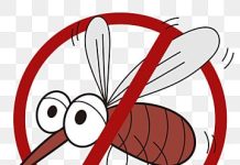 10 Cara Alami Mengusir Nyamuk yang Aman dan Ampuh