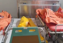 Tragis, Satu Keluarga Asal Benangin Tewas Dibunuh Orang Tak Dikenal di Perbatasan Kalteng–Kaltim