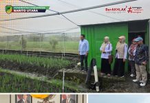 Wabup Felix Kunjungi Nganjuk, Buka Peluang Kerja Sama Penguatan Sektor Pertanian