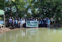 Rayakan Hari Bumi, Dompet Dhuafa Volunteer dan Duta Lingkungan Sulsel Tanam Mangrove