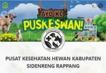 E-Puskeswan Sidrap Hadir, Permudah Akses Layanan Kesehatan Hewan Secara Digital