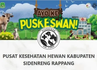 E-Puskeswan Sidrap Hadir, Permudah Akses Layanan Kesehatan Hewan Secara Digital