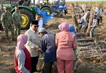 Panen Raya Tebu di Malang Dihadiri Presiden Prabowo, Petani Sampaikan Aspirasi