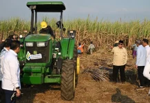 Prabowo Tegaskan Percepatan Swasembada Energi dan Komitmen Berantas Aktivitas Ilegal