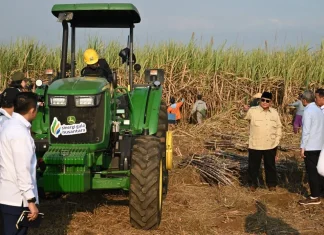 Prabowo Tegaskan Percepatan Swasembada Energi dan Komitmen Berantas Aktivitas Ilegal