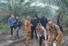 Gerak Cepat Usai Rakor, Bupati Shalahuddin Cek Titik Api Karhutla